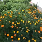 Near Airport Апартаменты Даламан