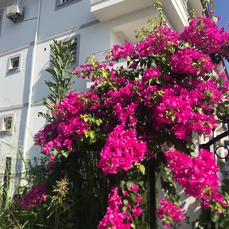 Apartamento & Family Dalaman